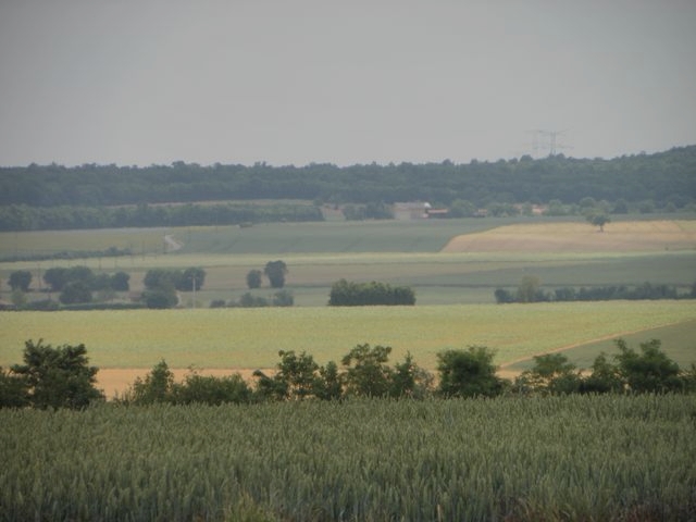 Beauvoir7