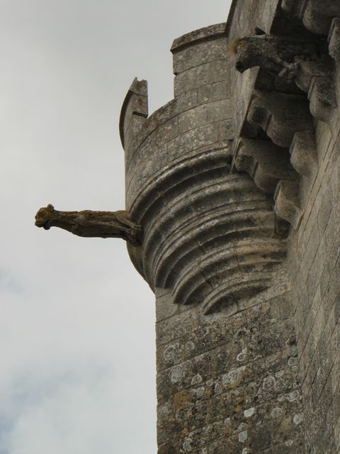 Esnandes5