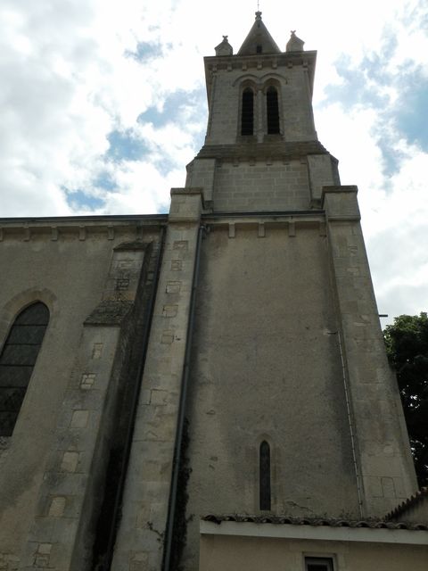 Mauze2