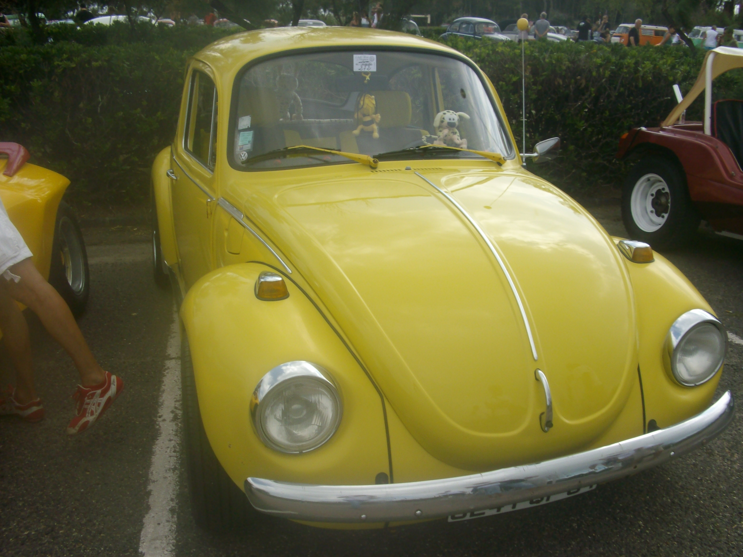 IMGP1941