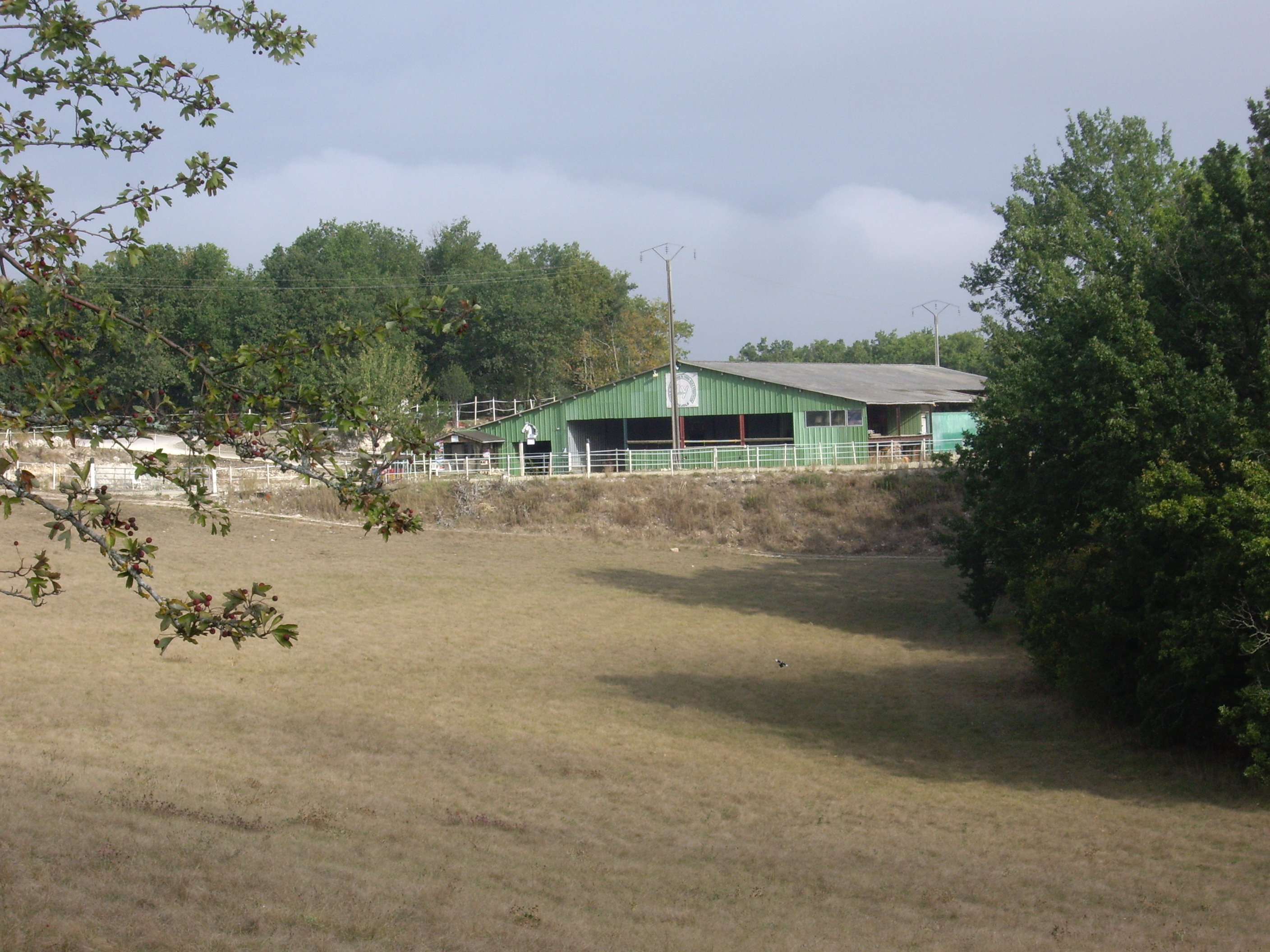 Poney site 020