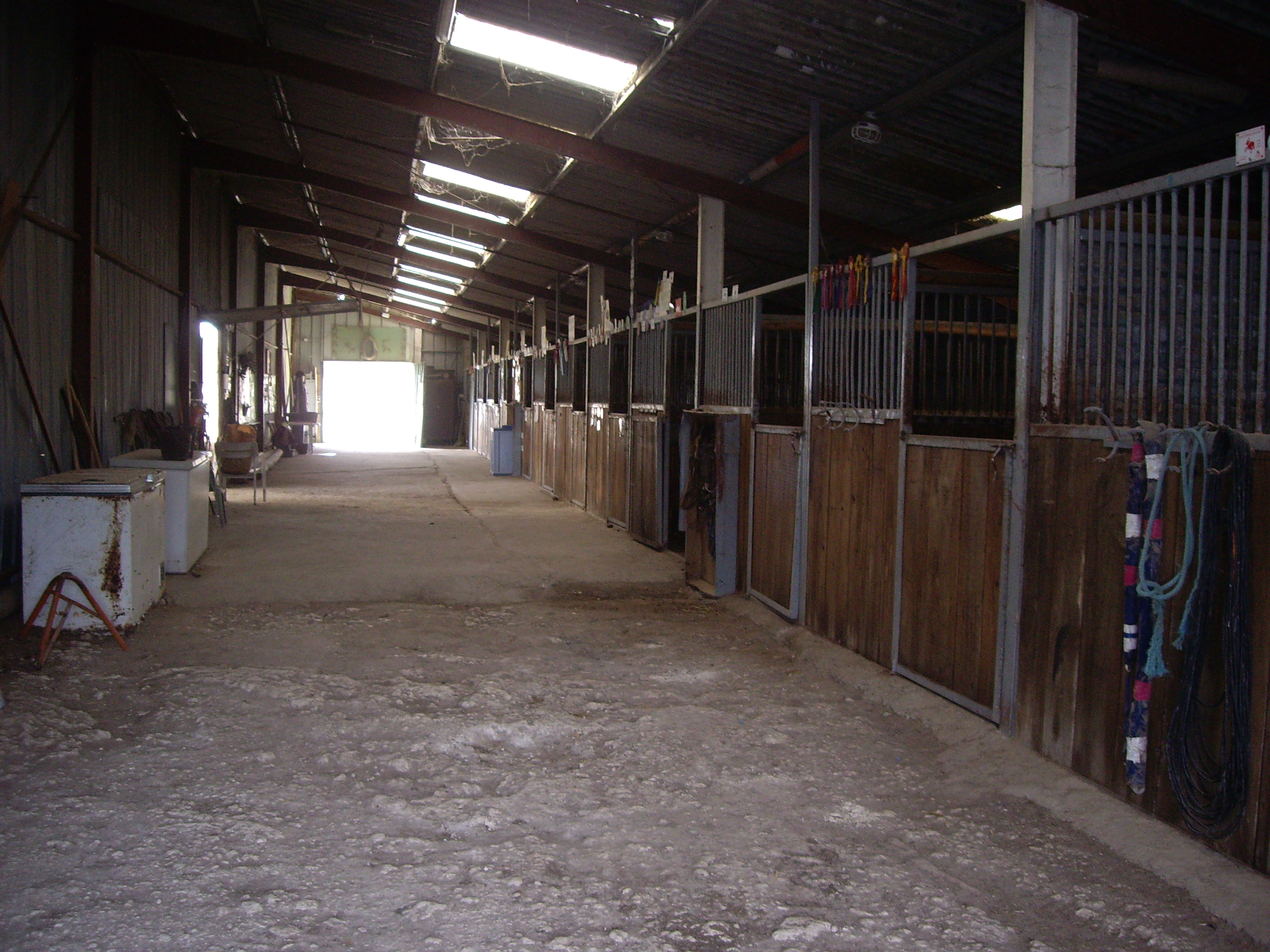 Poney site 027