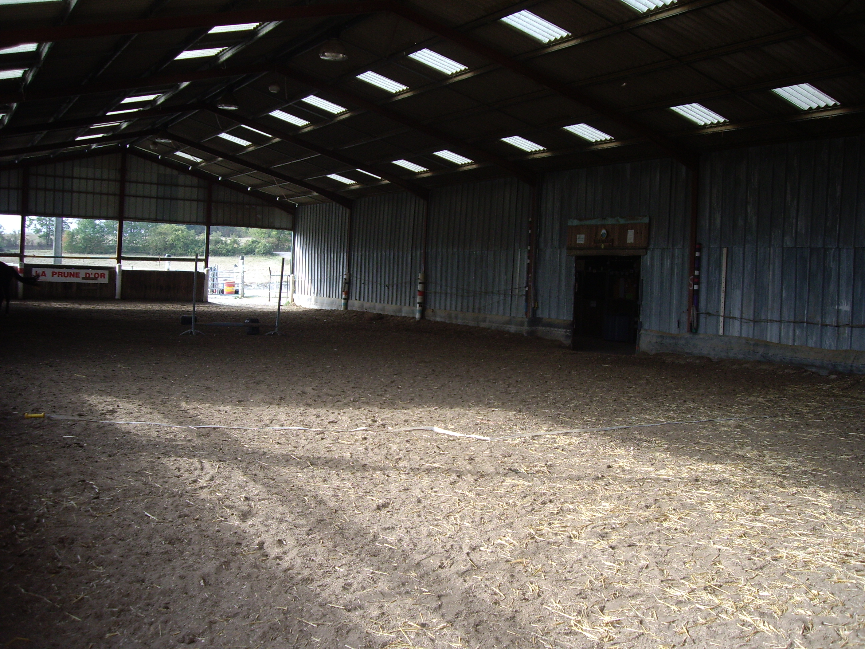 Poney site 029