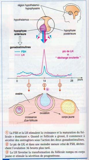 310160 284116971618033 100000591973776 1112736 1758236866 n