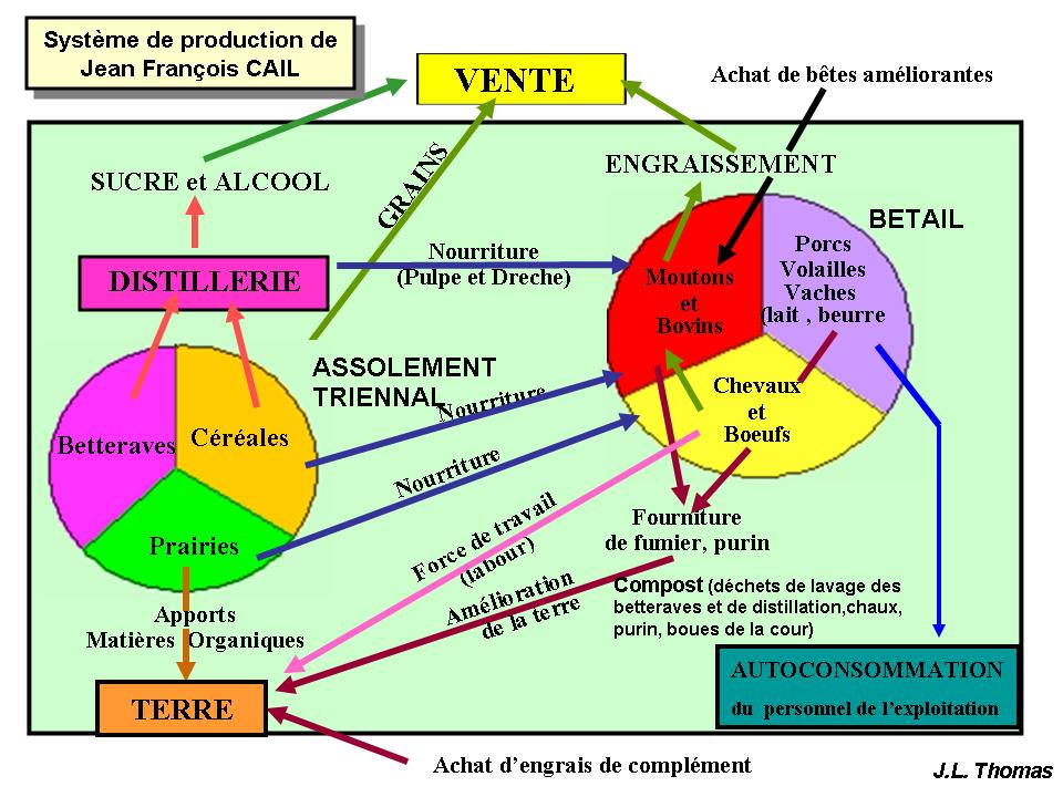 Systeme cultural Cail