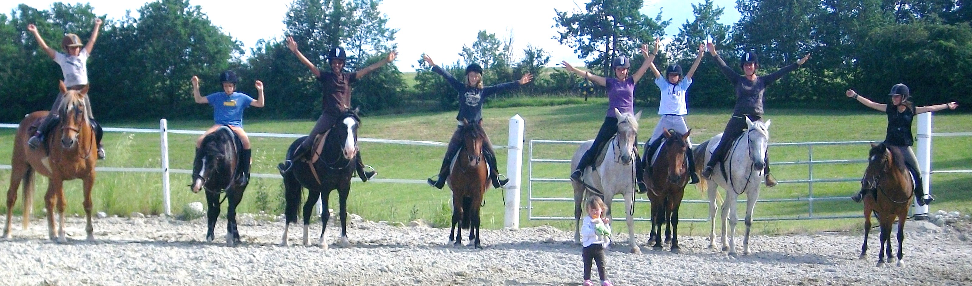 Horse ball claire 012
