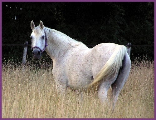 Mylencka 004