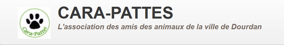 Carapatte