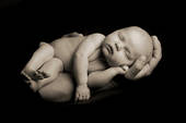 Isp0800281