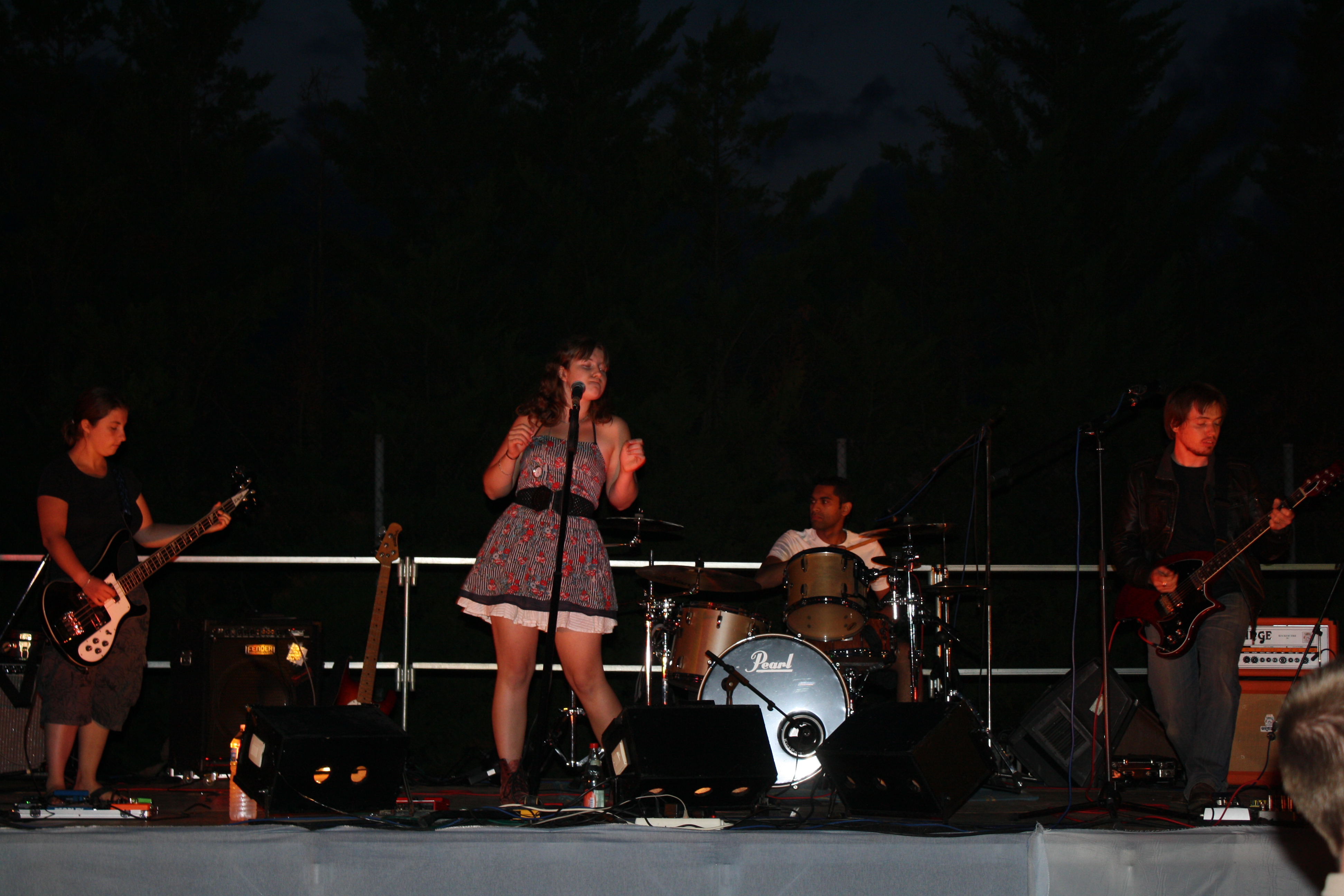 Acrobois 2011 008