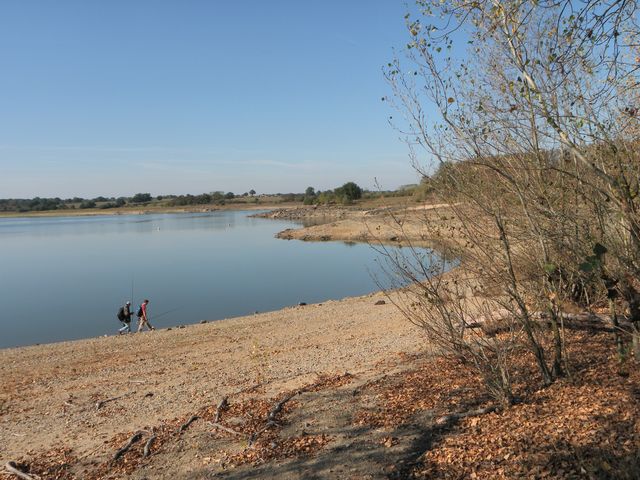 Cebron8