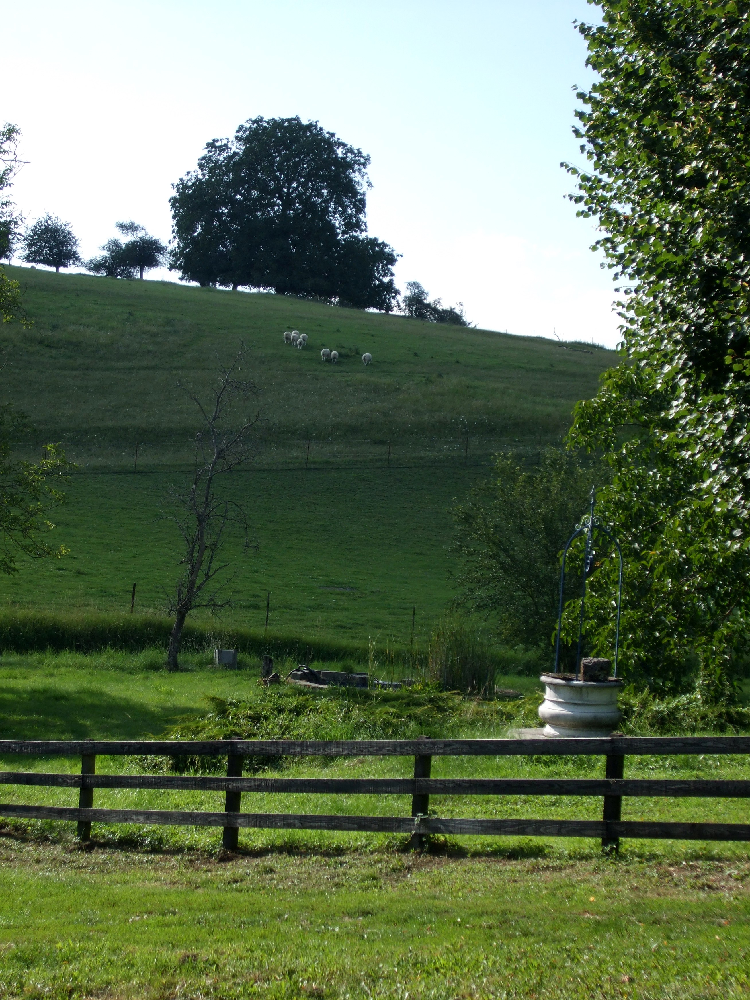 Dscf0687