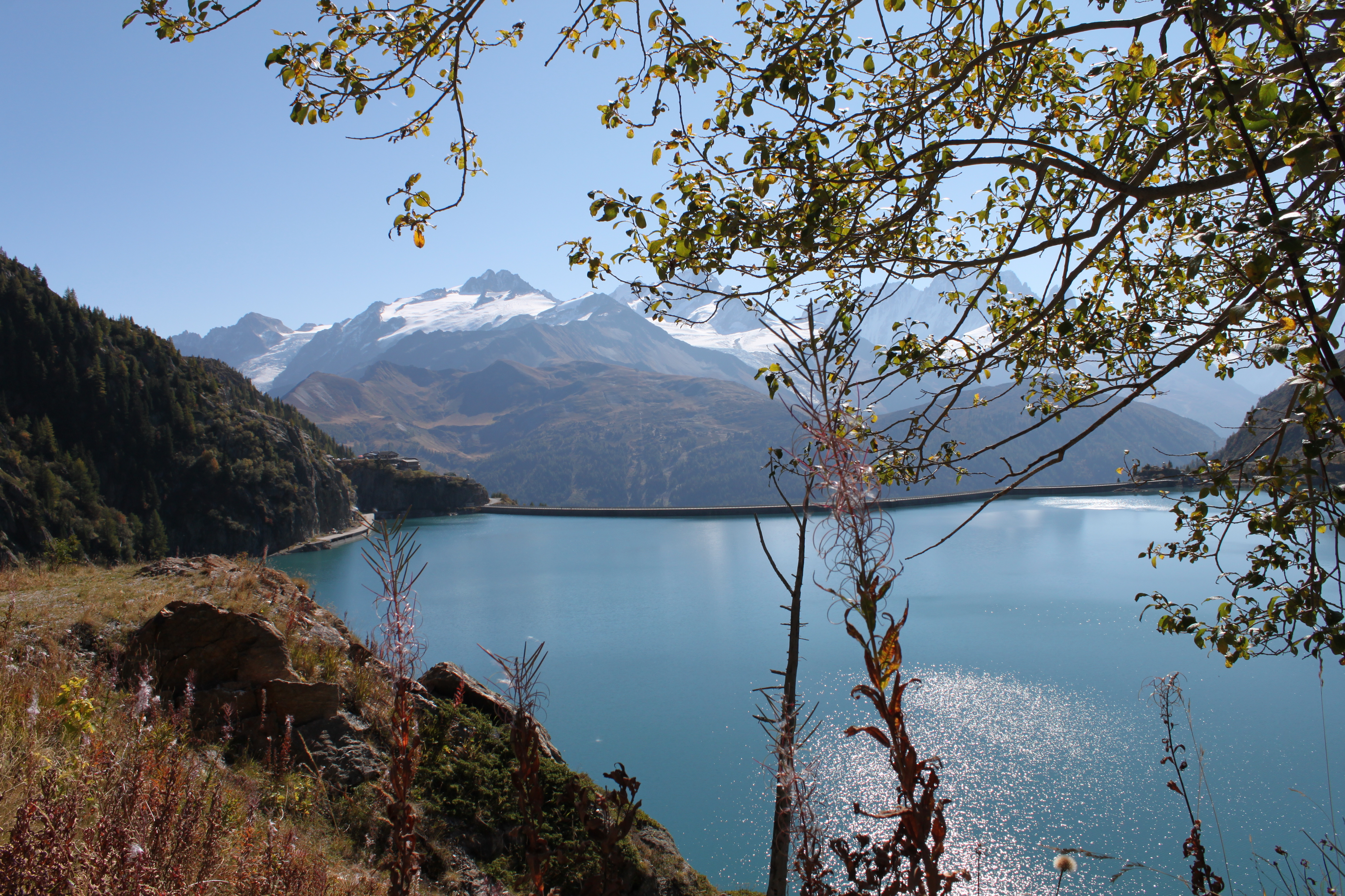 Végétation luxuriante et vue panoramique du barrage d'Emosson