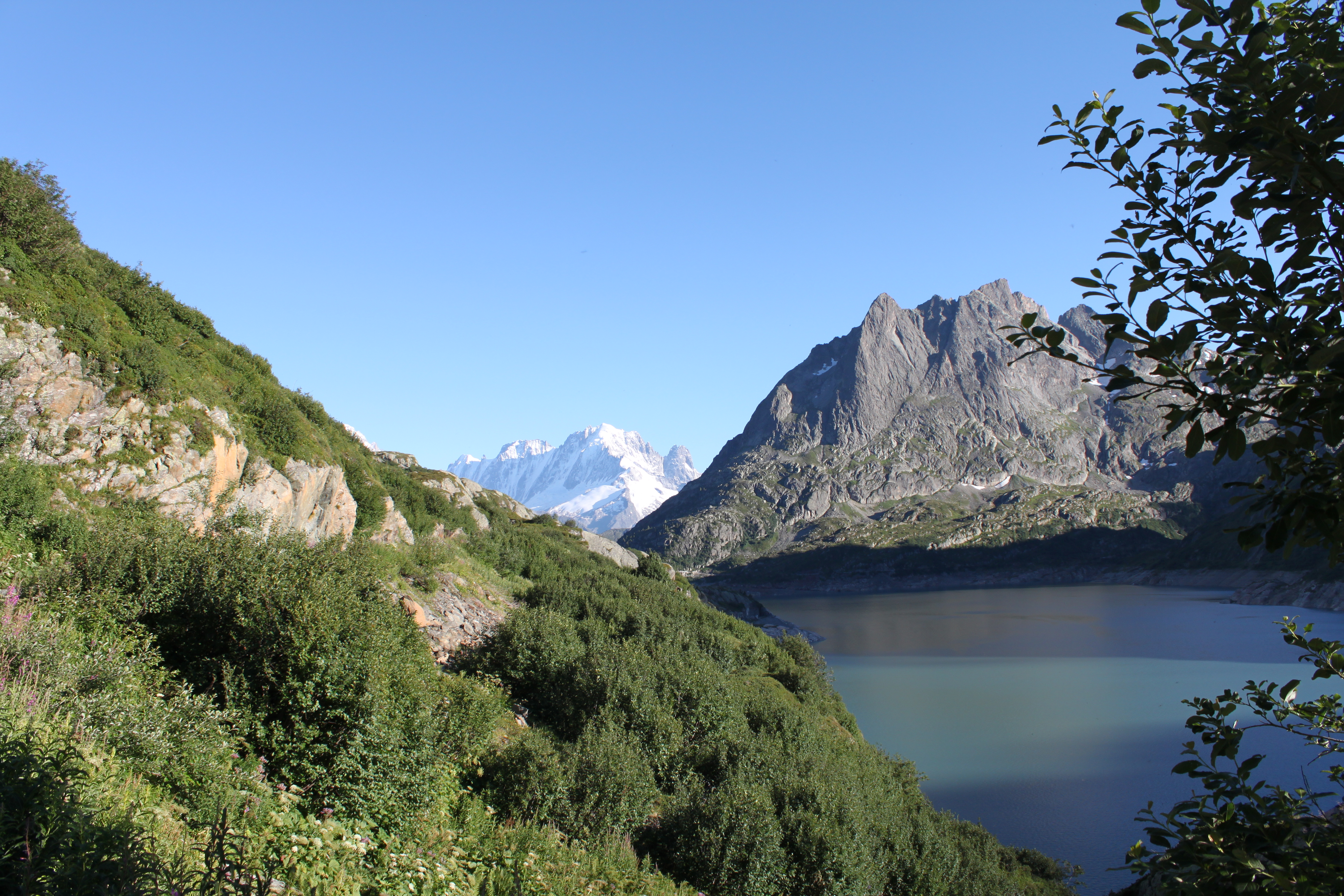 Végétation luxuriante dans le site du barrage d'Emosson