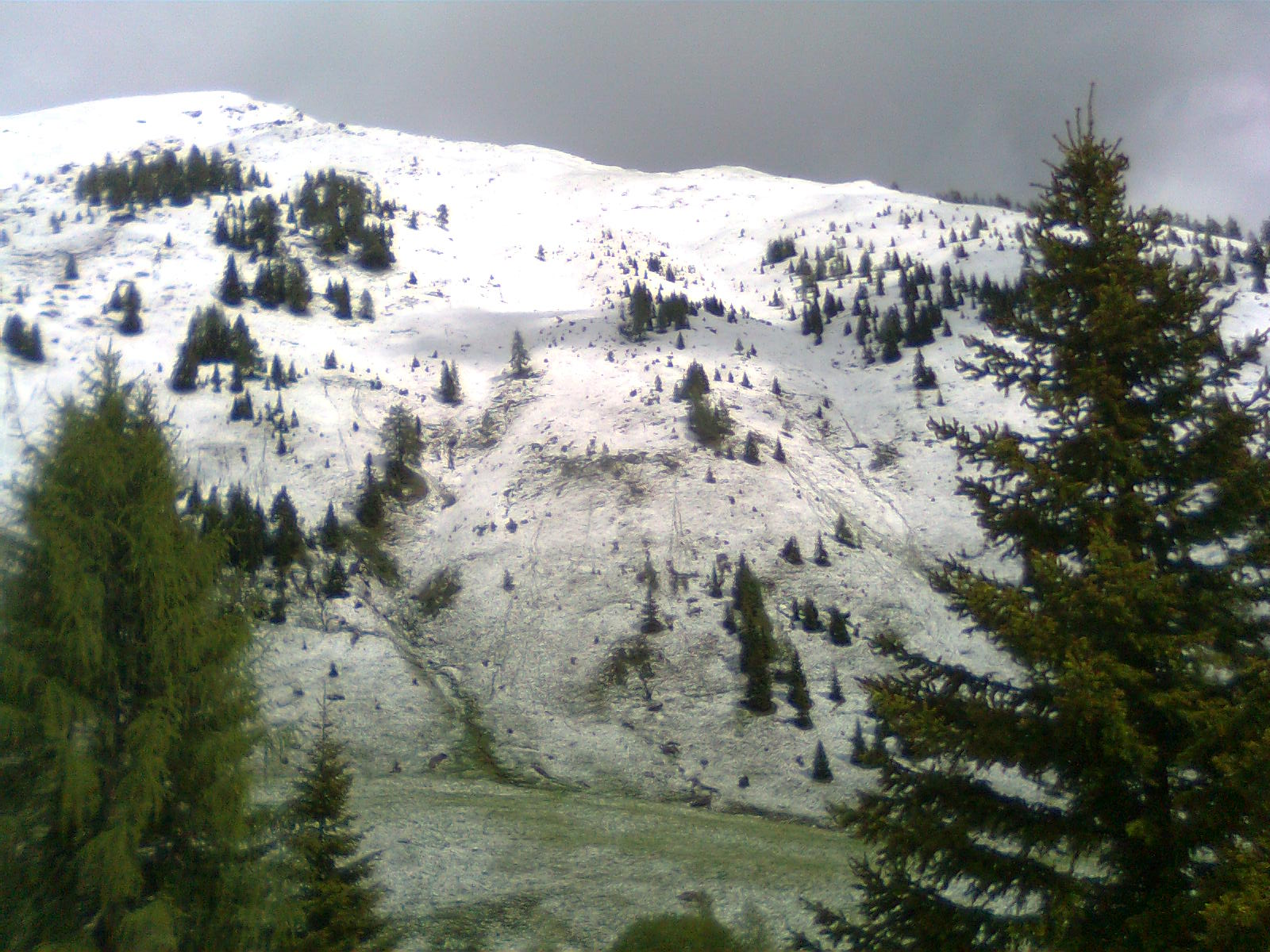 Bild0453