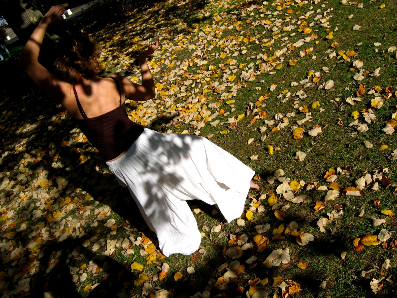 progression, maitrise du corps, arts martiaux
douceur, musculation
posture
sophrologie
méditation
cohérence cardiaque
danse
Bassin d'arcachon
Mios