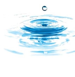 46nae Image1