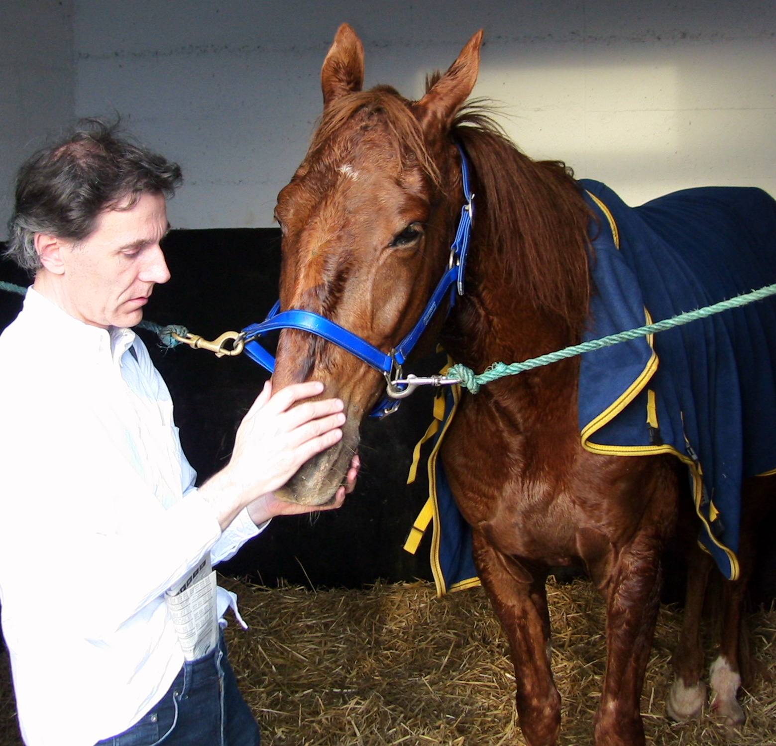 Journaliste hippique cheval de courses