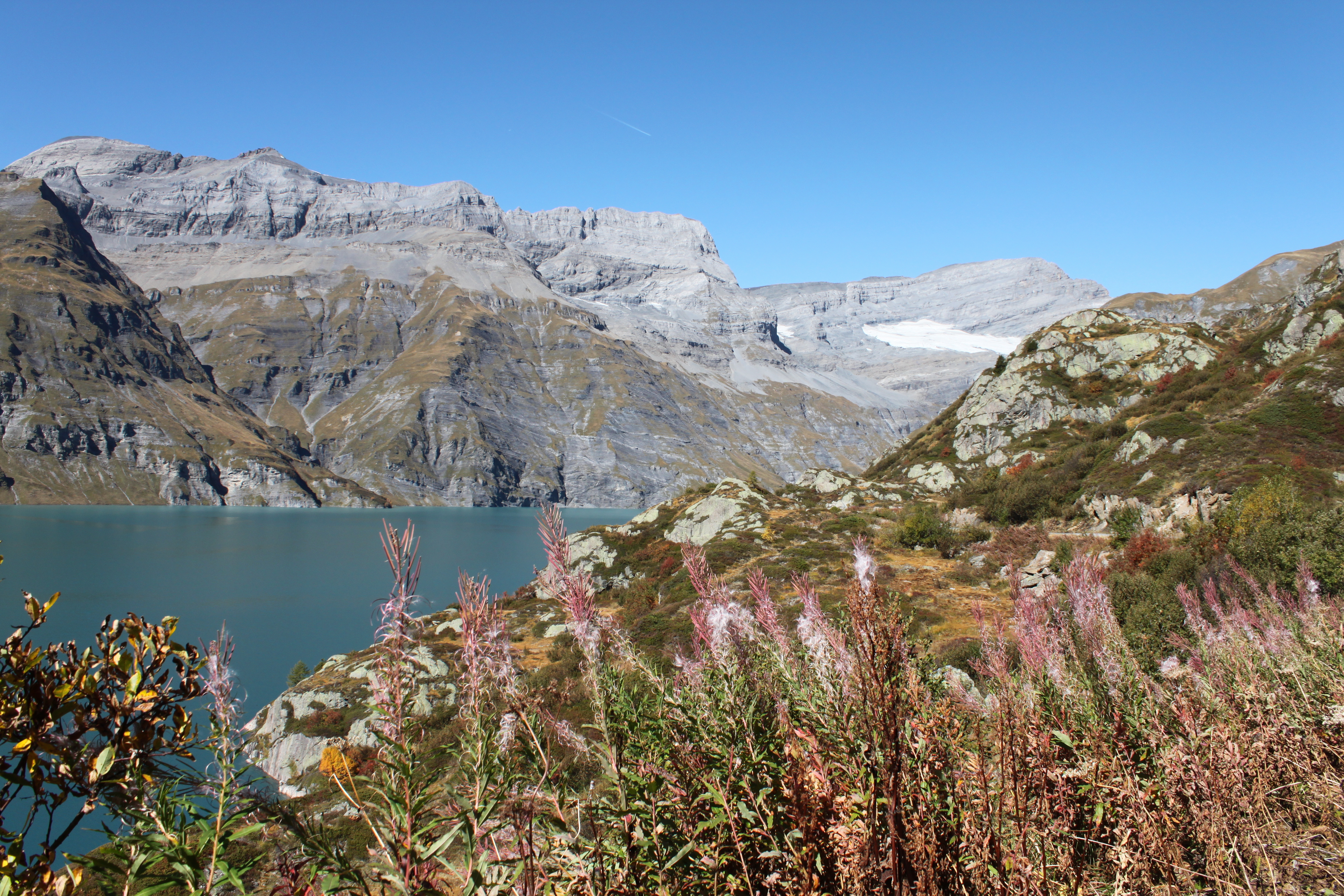 Végétation luxuriante dans le magnifique site du barrage d'Emosson