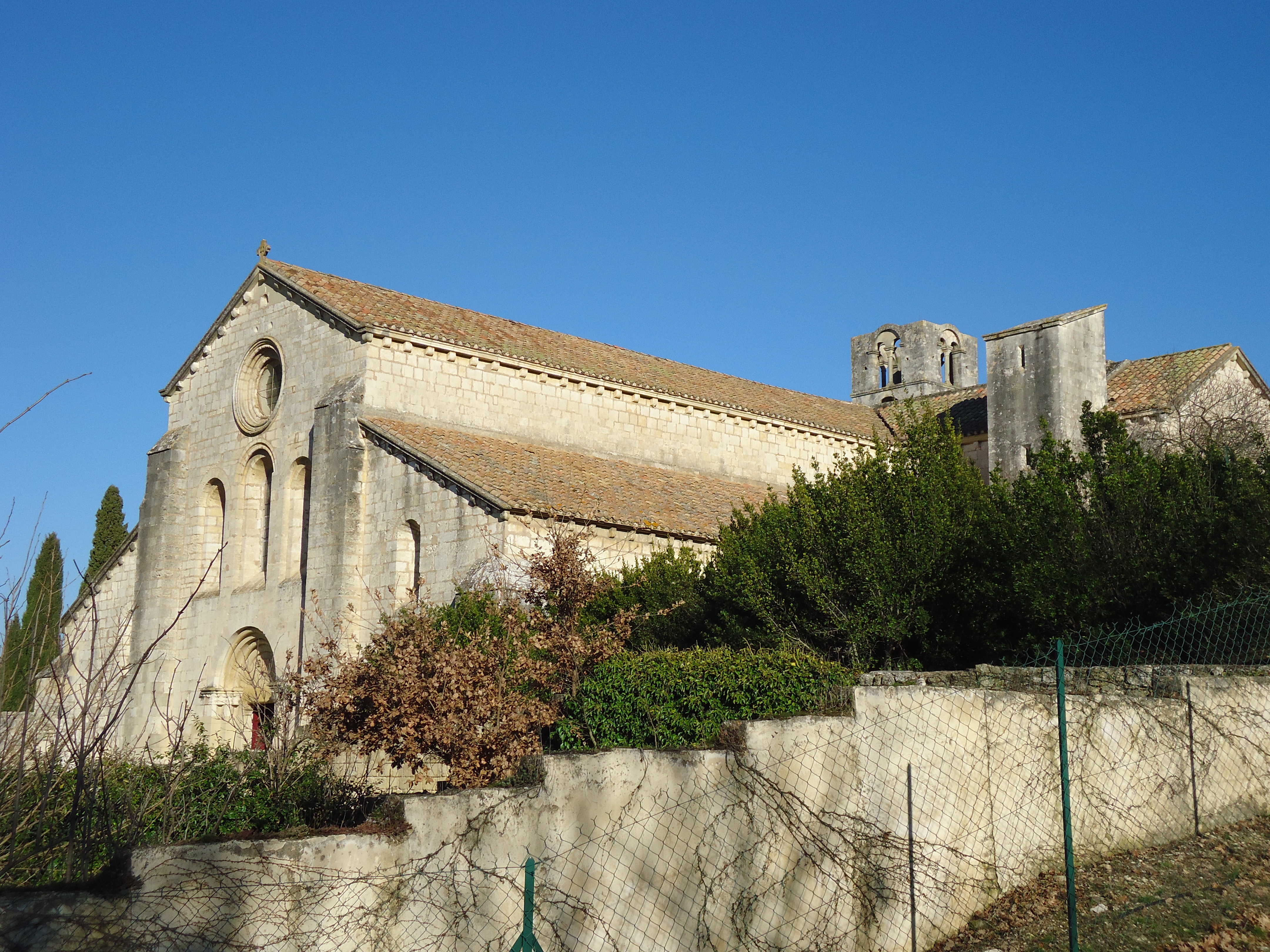 Dsc00061