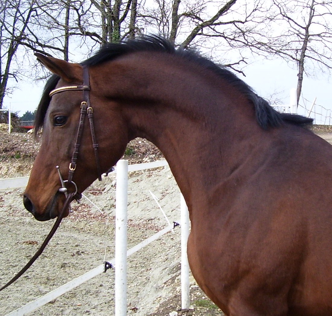 Photo 2008 217