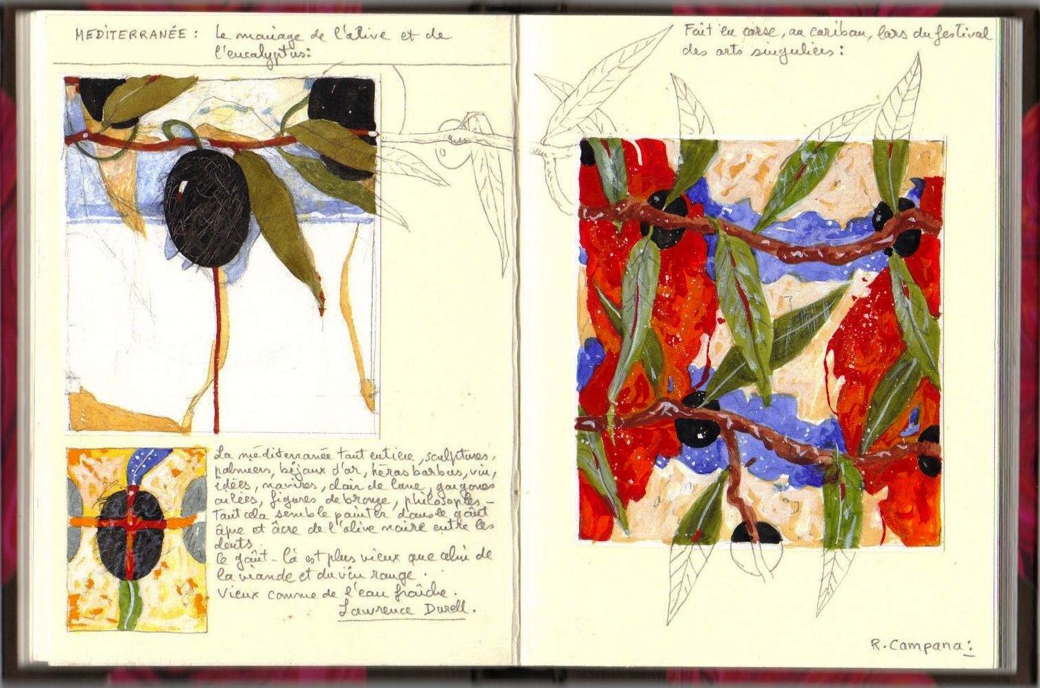 Carnet olive