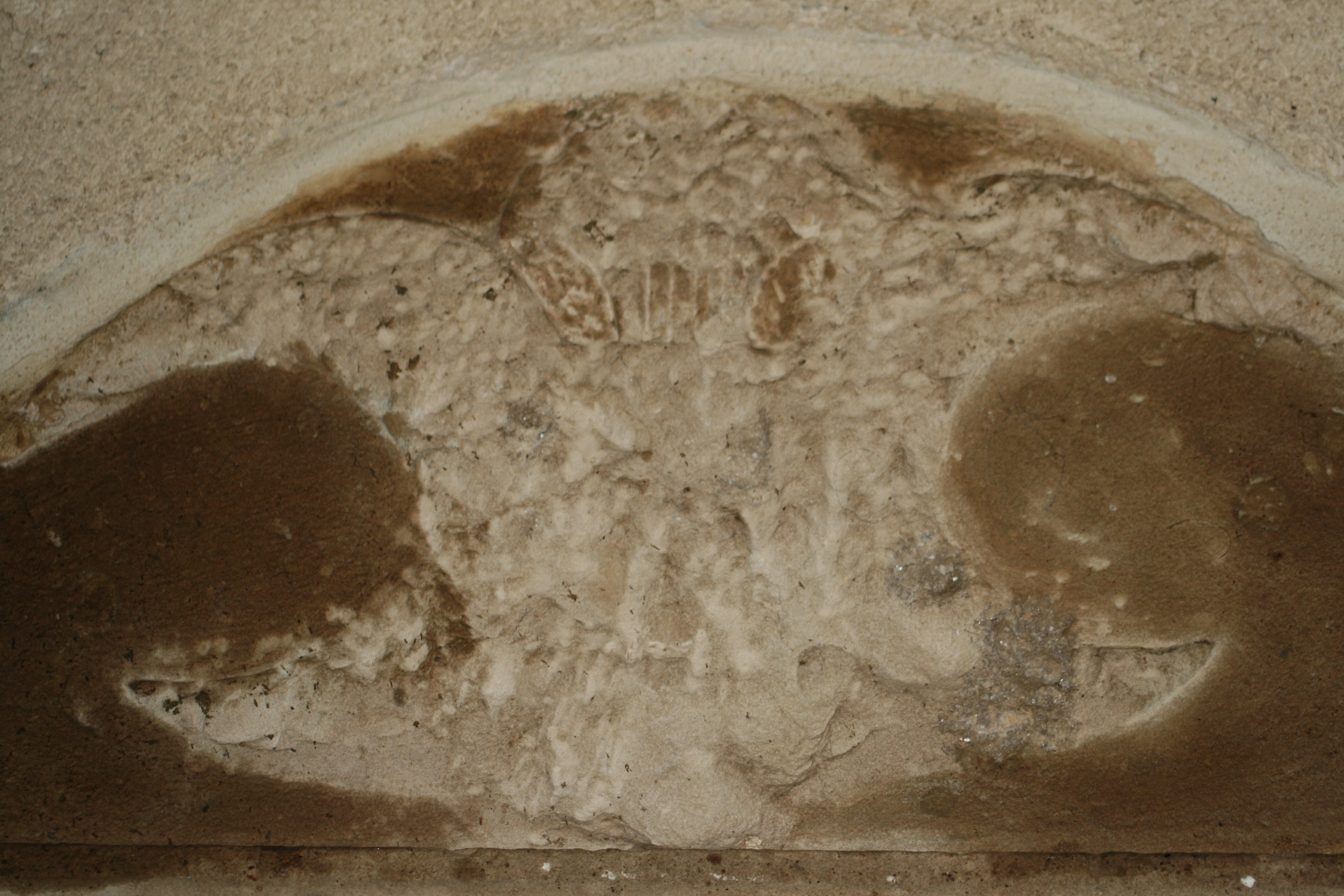Photo 199