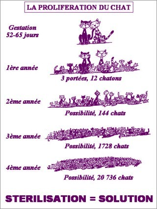 Affiche proliferation
