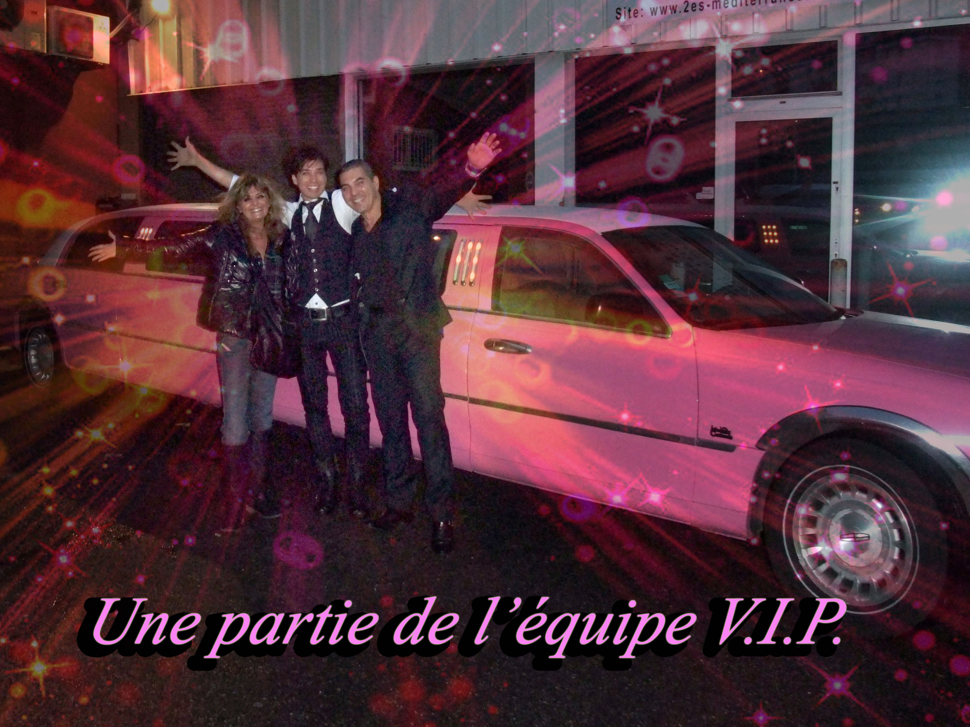 006 3 copie