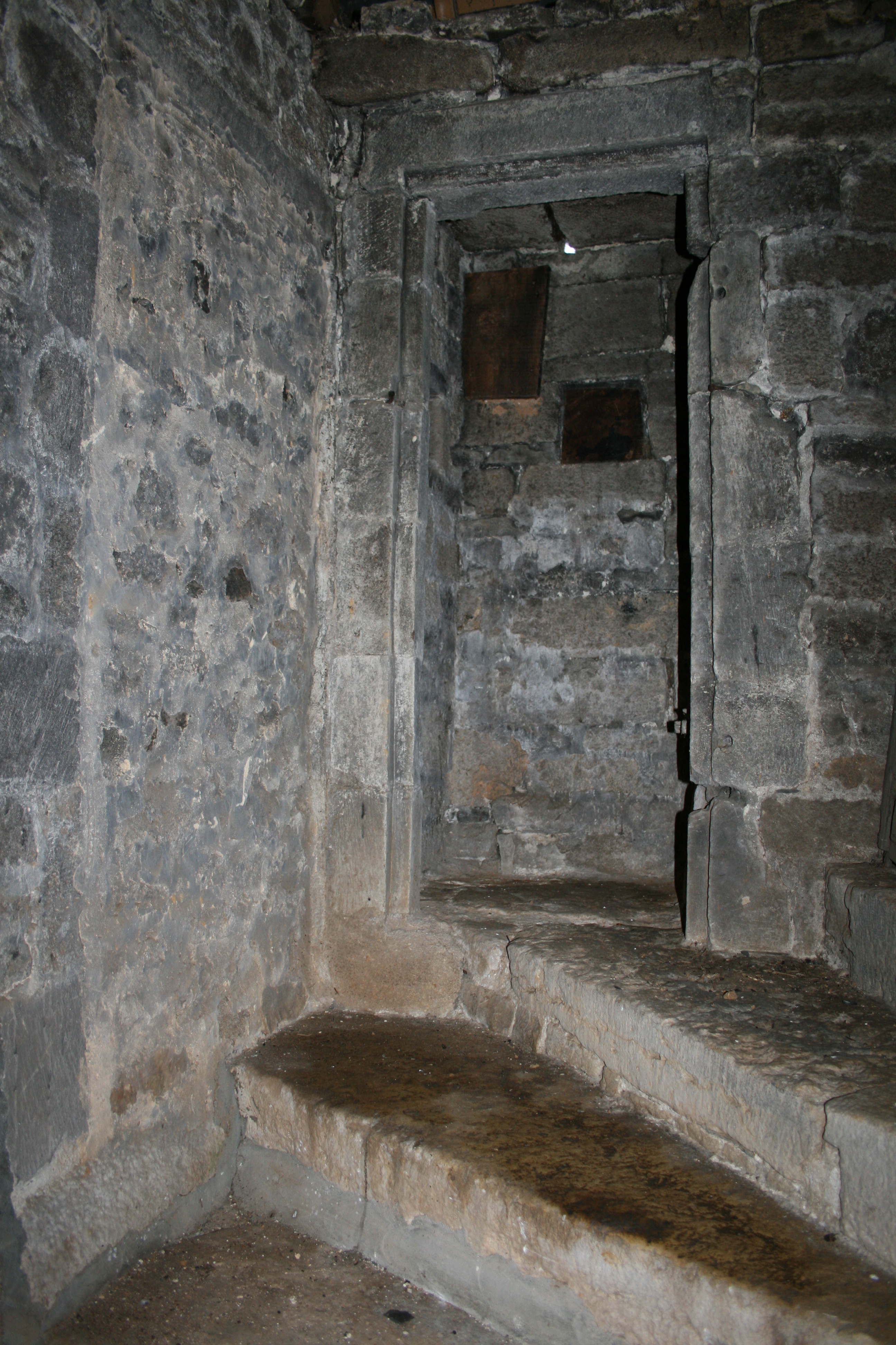 Photo 015