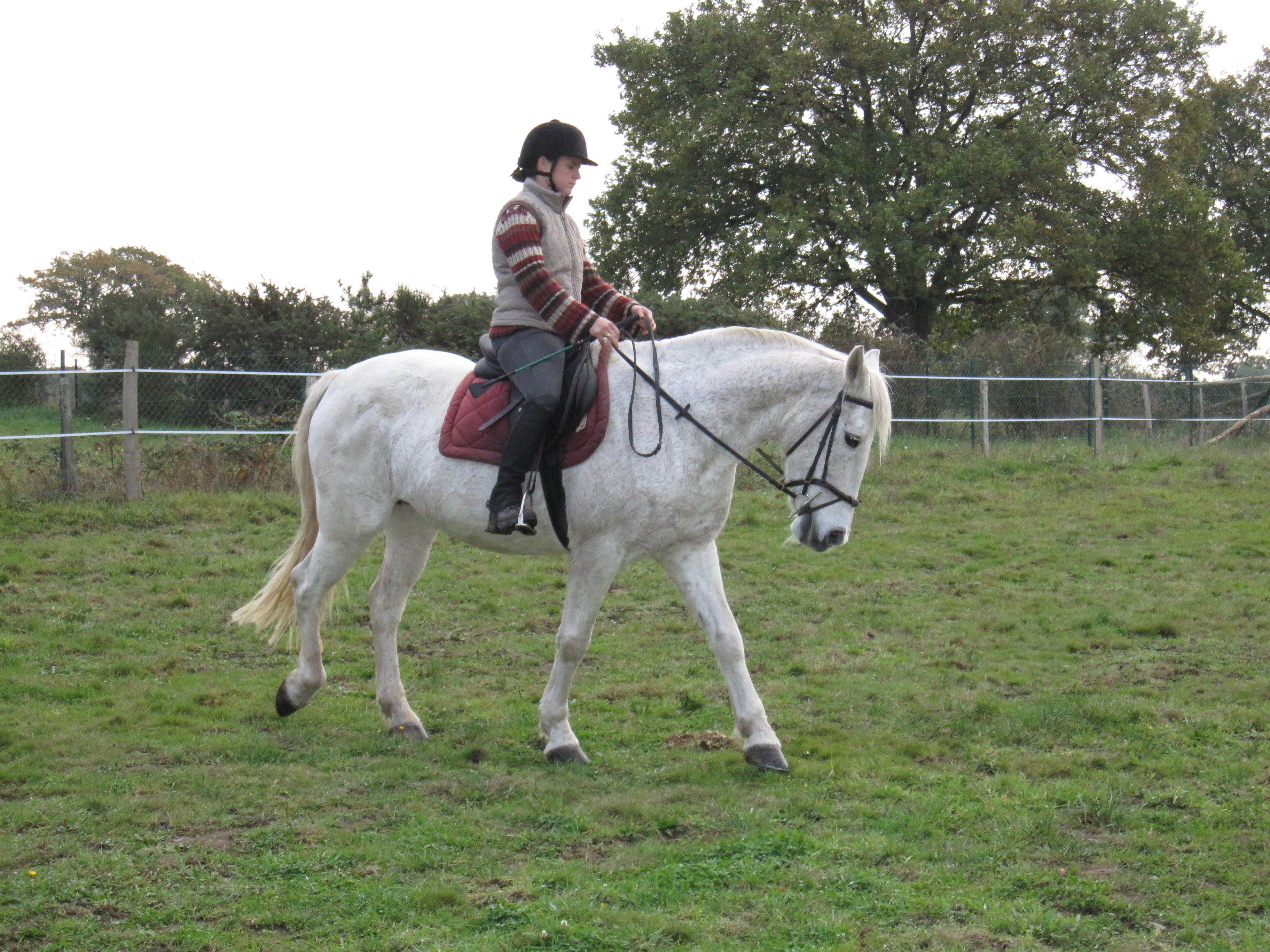 Novembre 2011 143