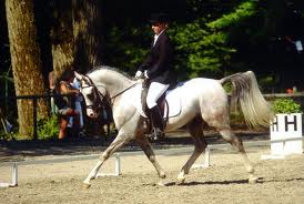 Arnelle Acapulco
(JS Marrak x Platinum Fantasie - Platinum Phantom)