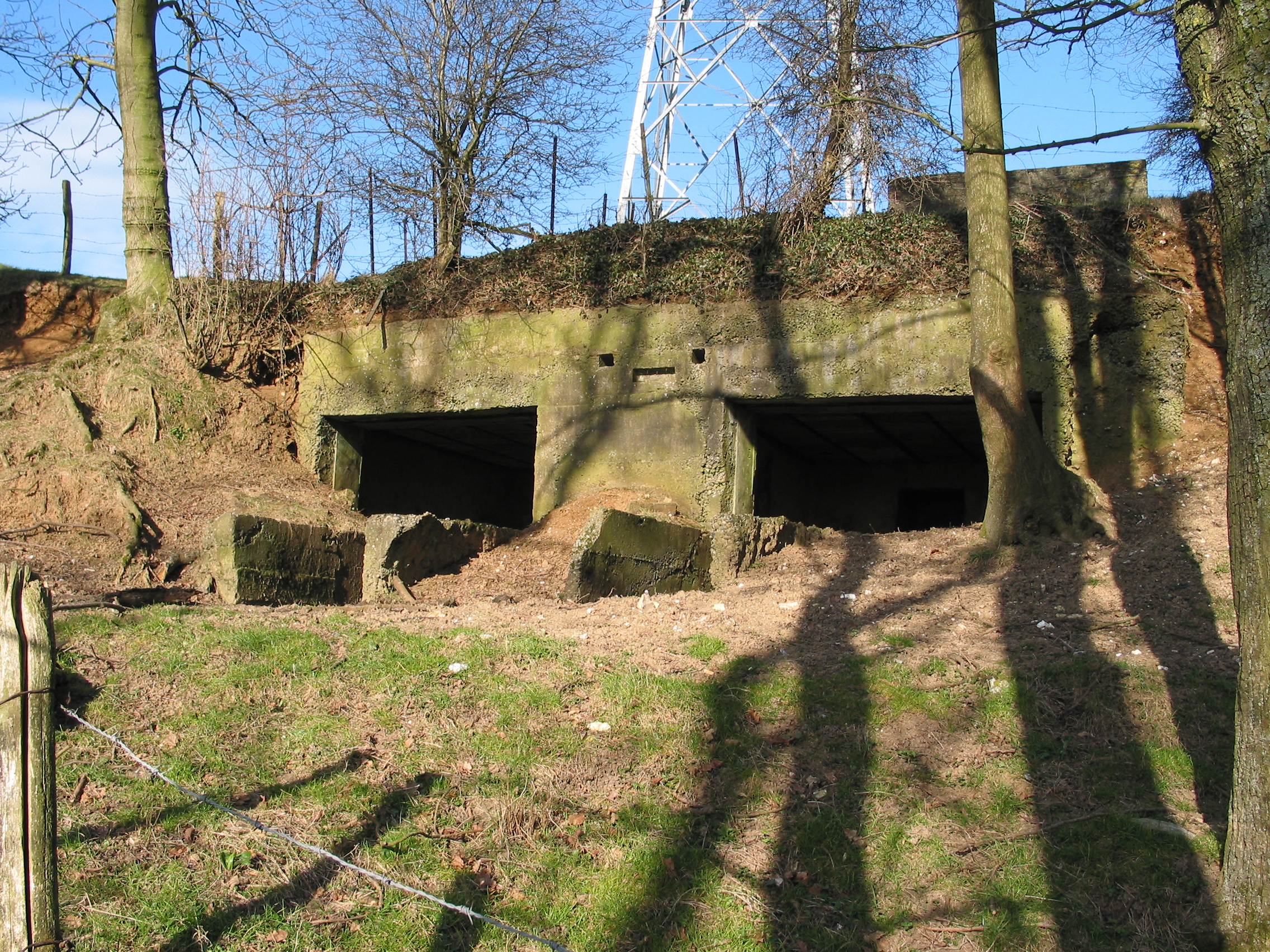 IMG 0035 2 