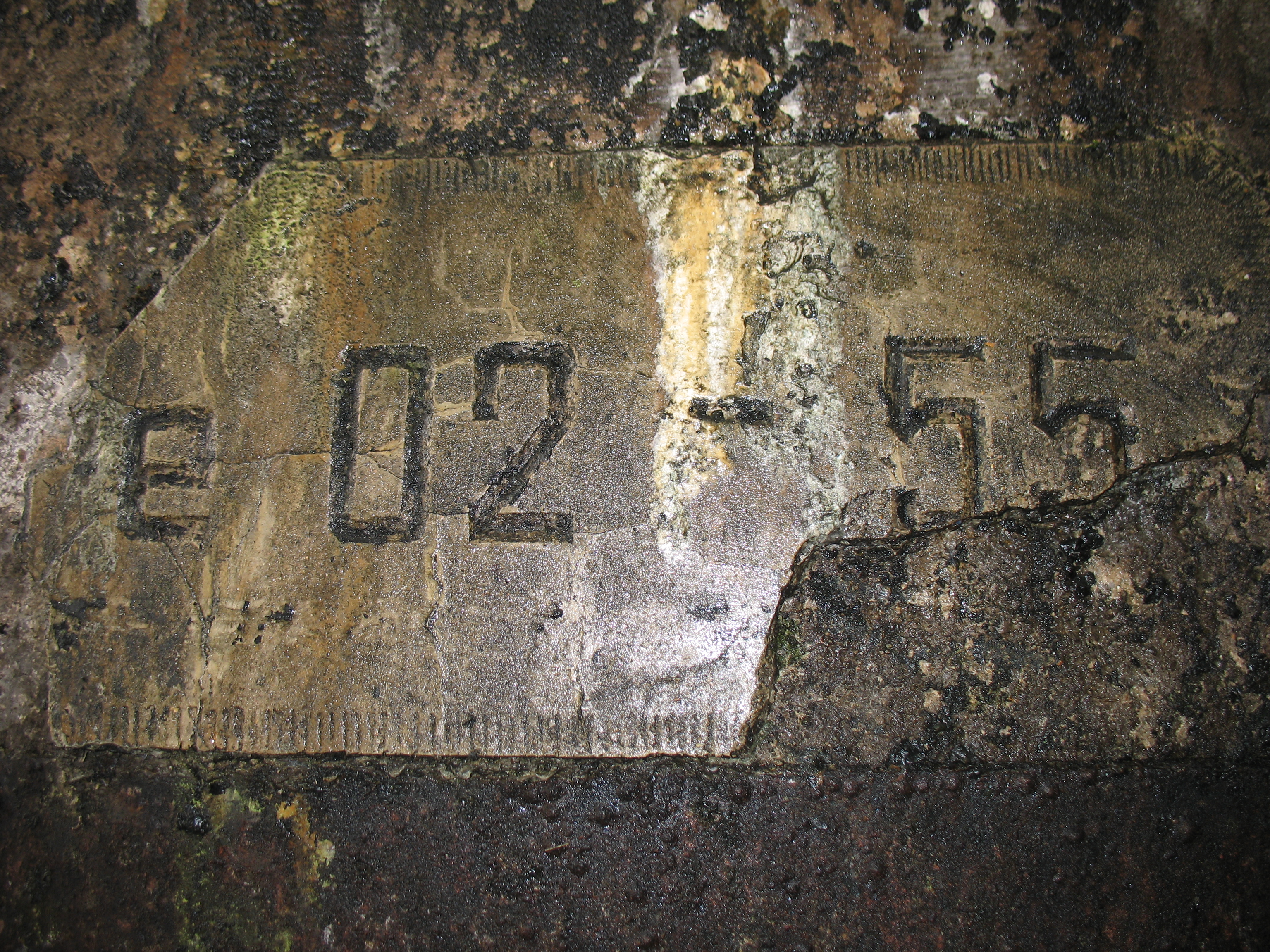 336236