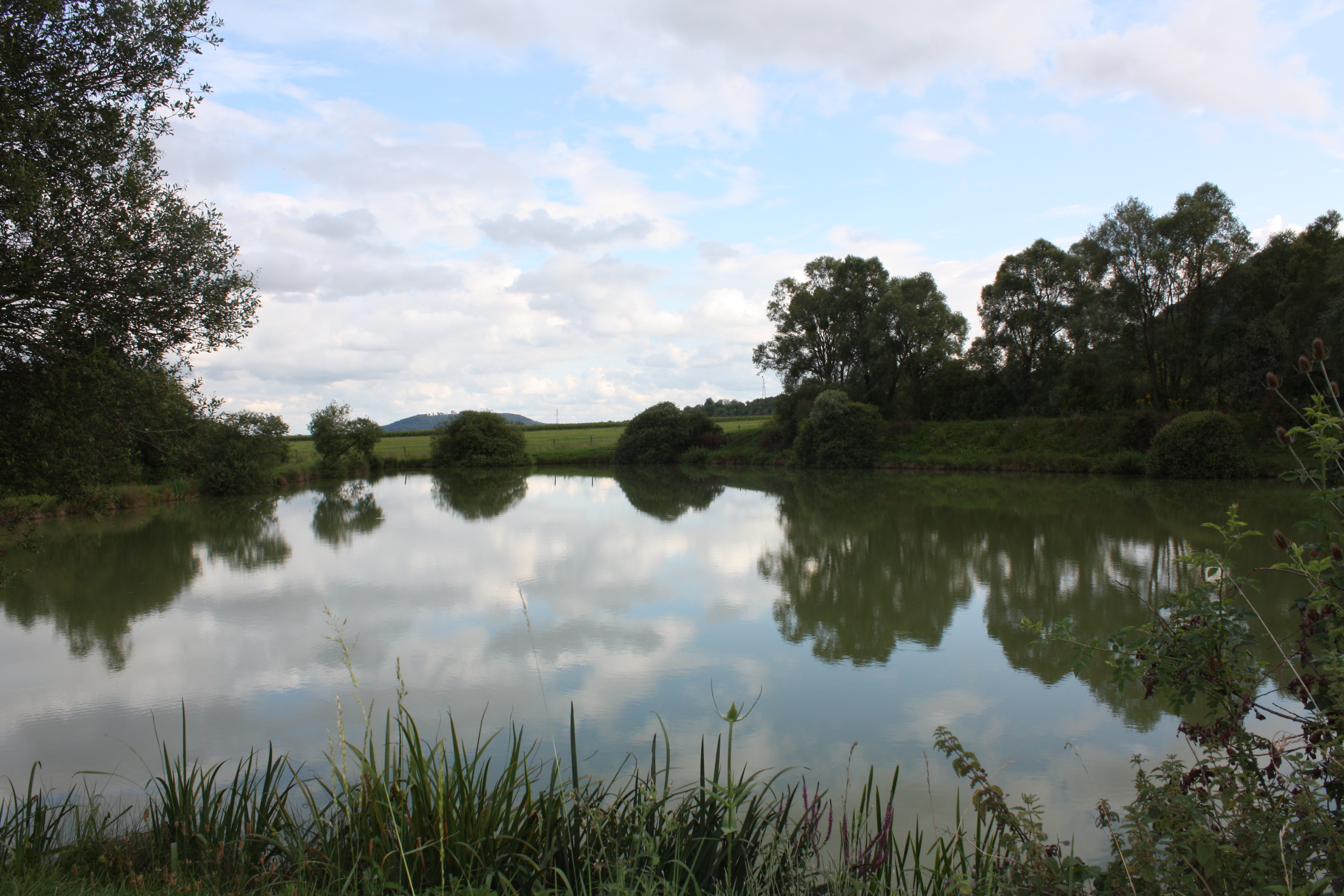 Milieu8