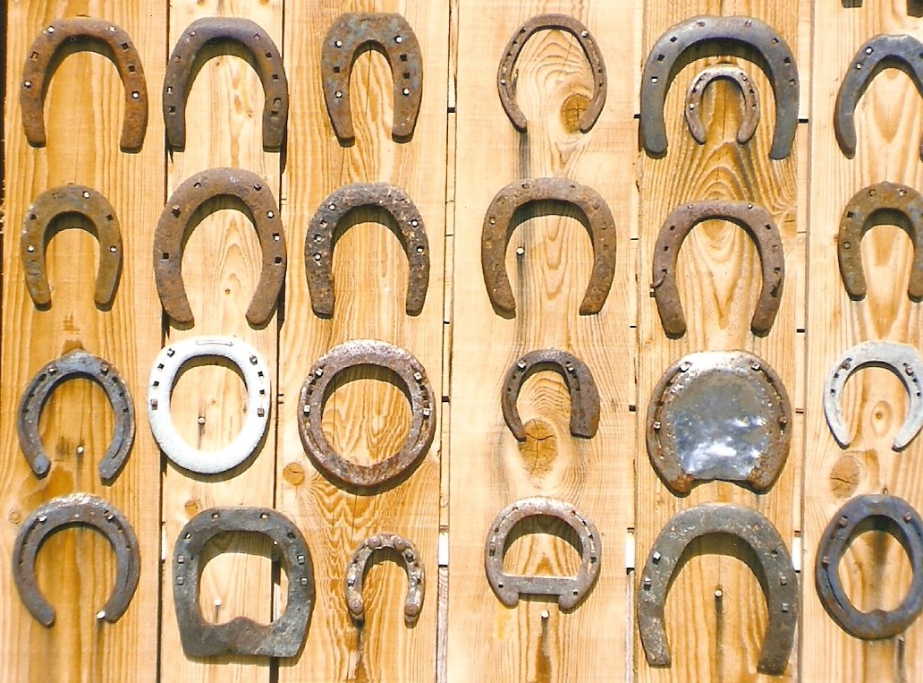 Numeriser0002