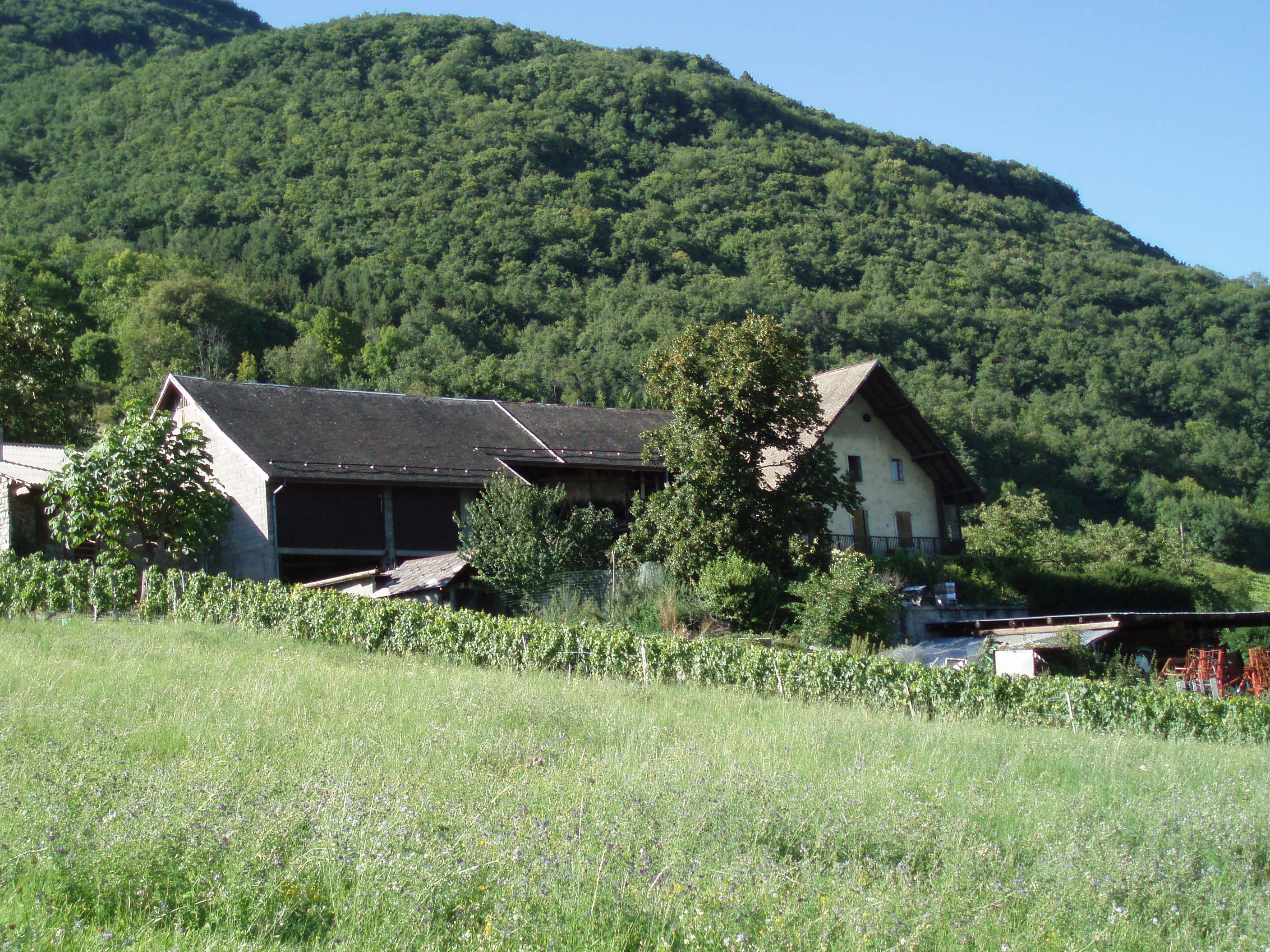 P8090715