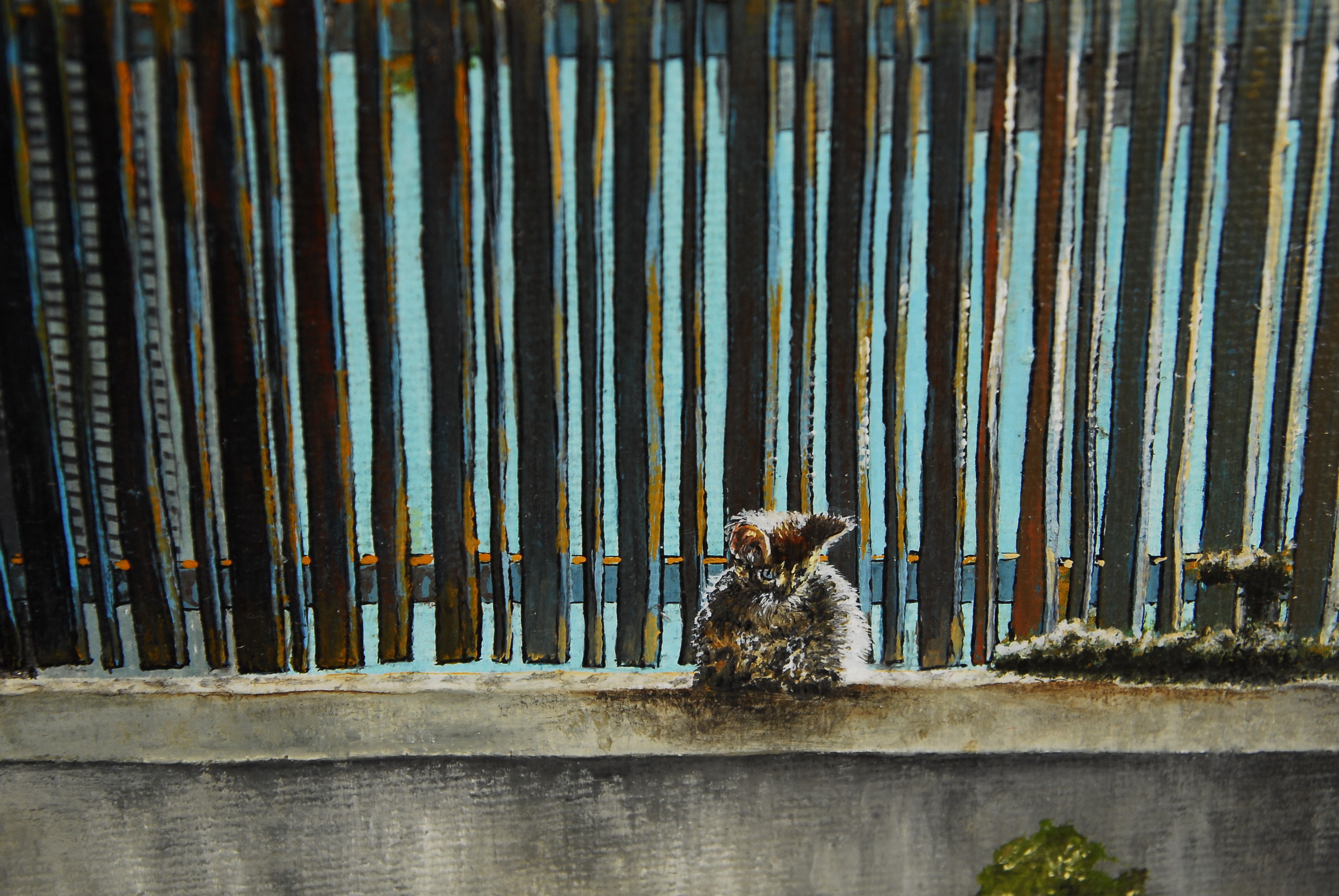 chat, me regarde!