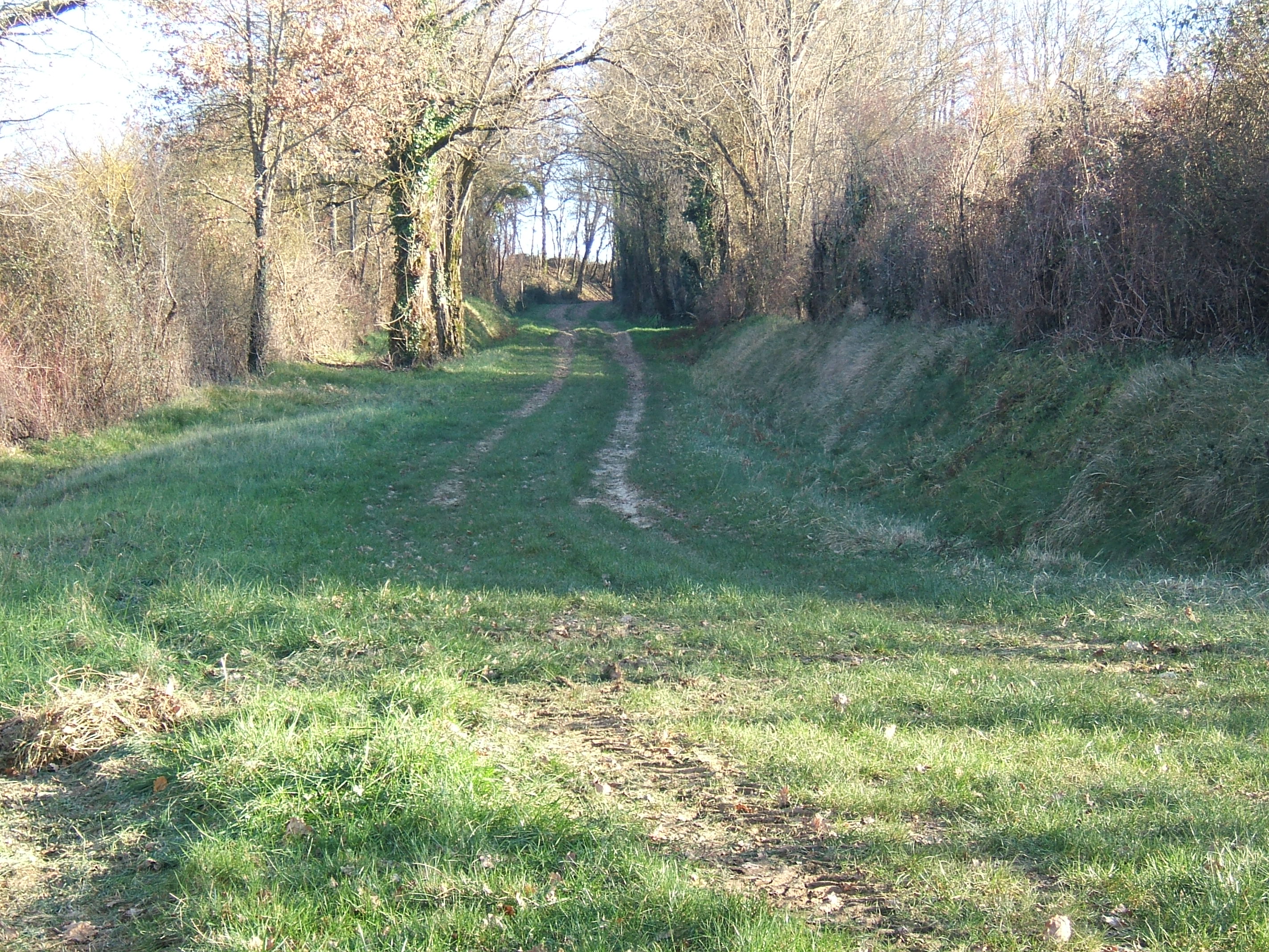 DSCF2536