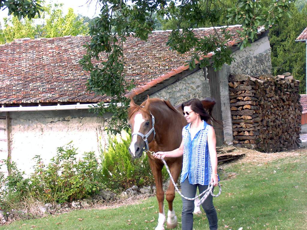 ASPECT 33 (SU)
(Naftalin x Patriotka)
