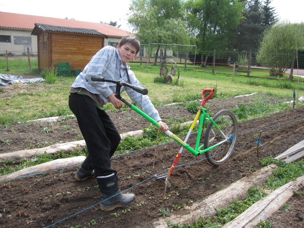 le véloculteur (du nom de son inventeur)