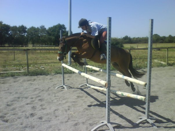 Dandy1