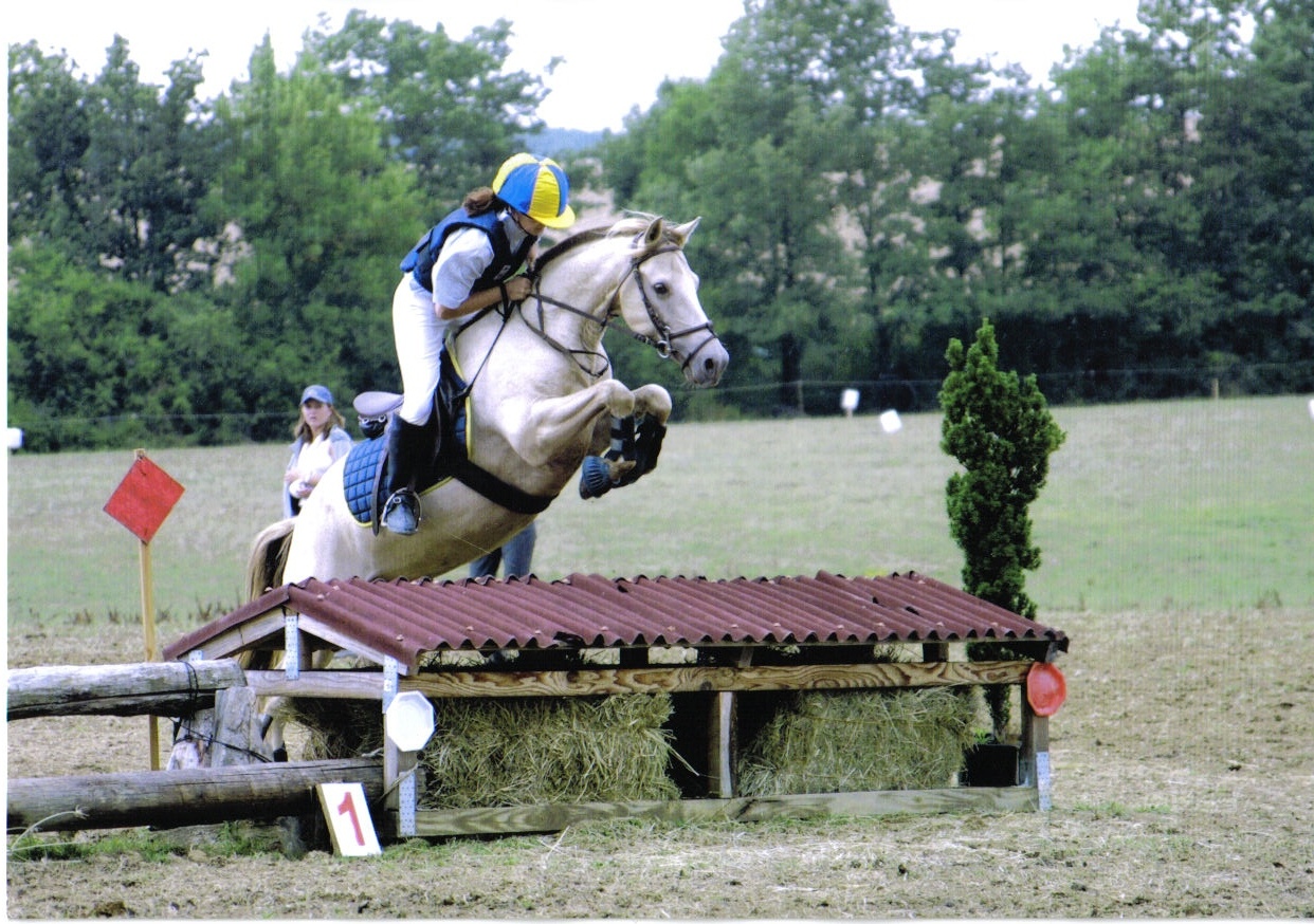 Marsan2004laika