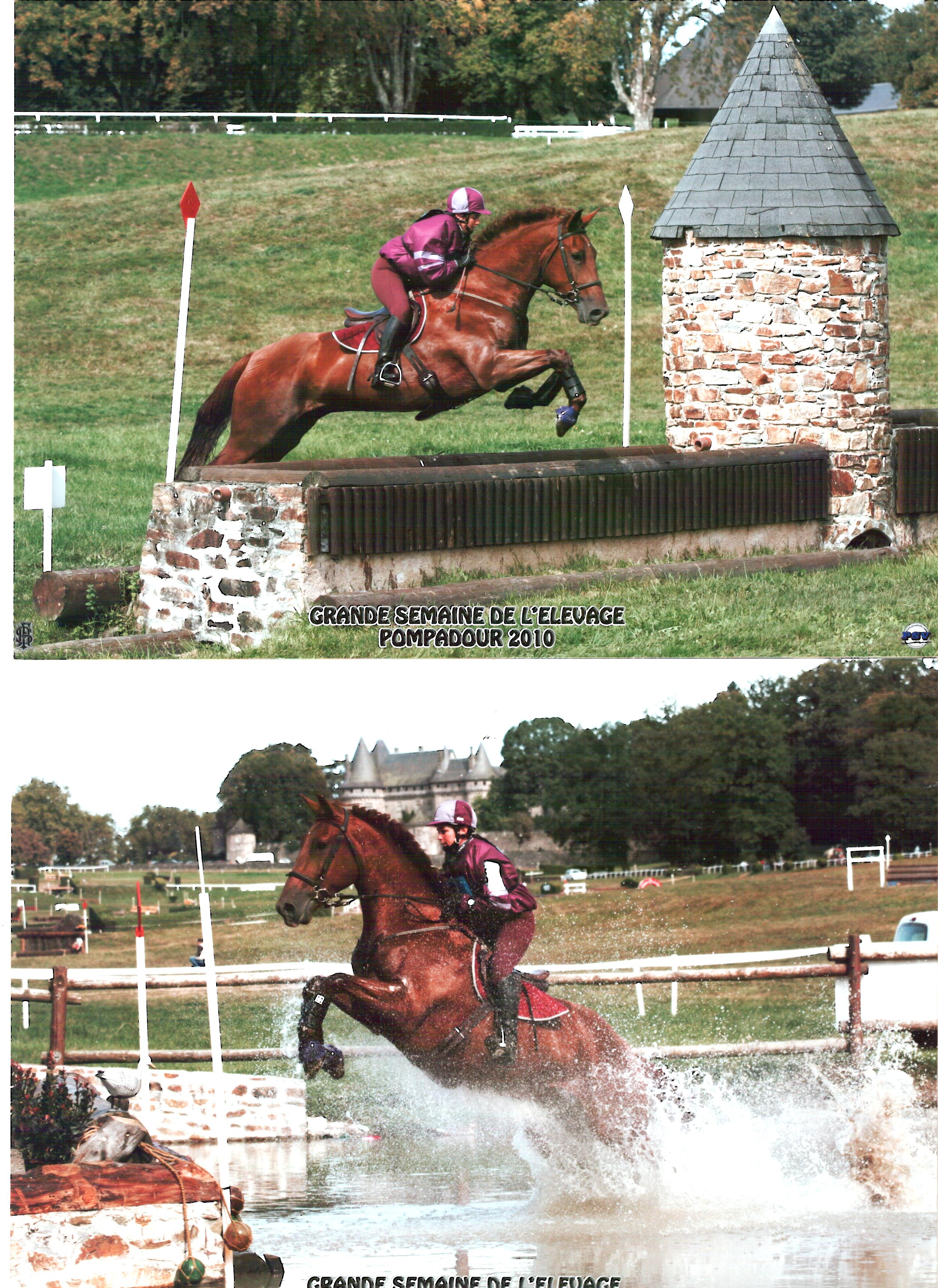 Scan 17 12 2010 10h25m10s 3