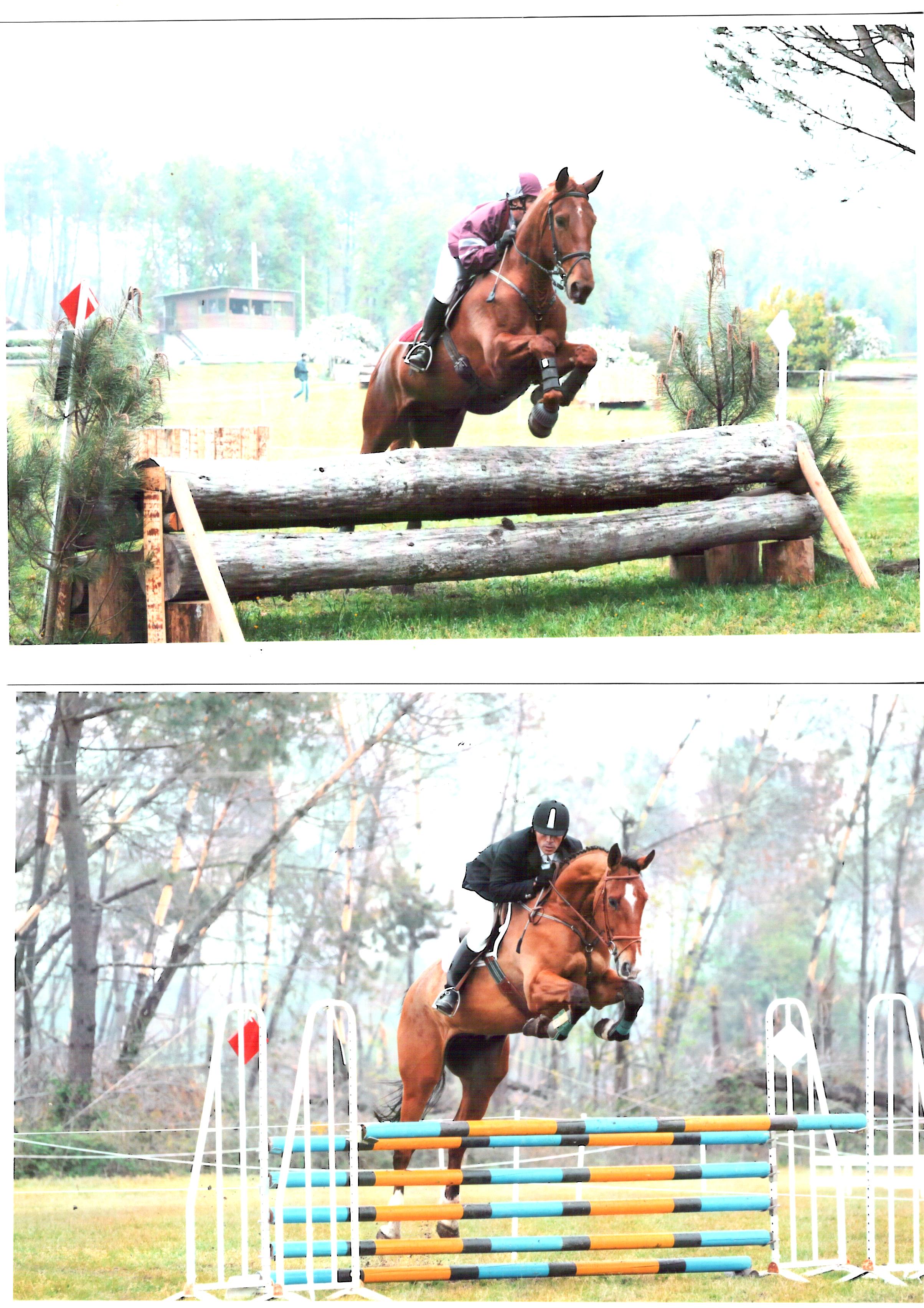 Scan 17 12 2010 10h25m10s 6