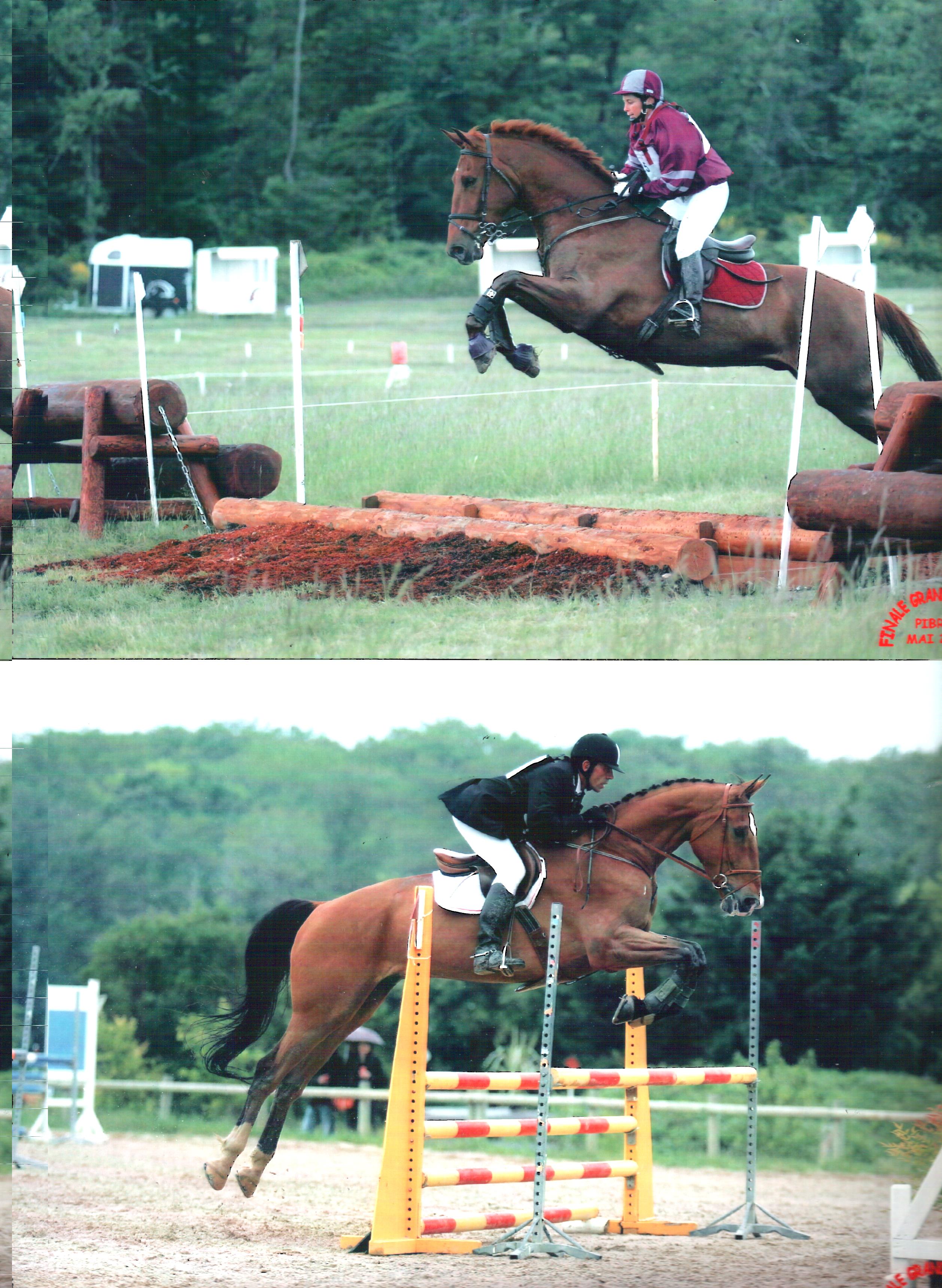 Scan 17 12 2010 10h25m10s 8