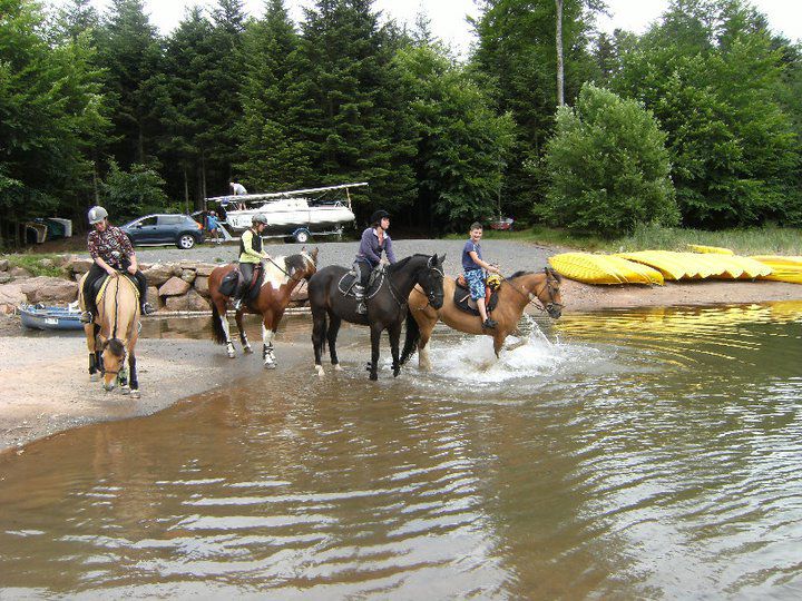 383844 3117738302083 1223274190 33496708 1231974912 n