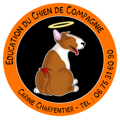 Education du chien de cie