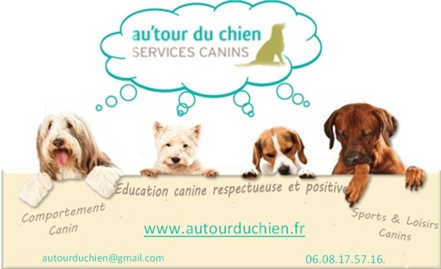 Au tour du chien 2