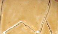 Beige azart